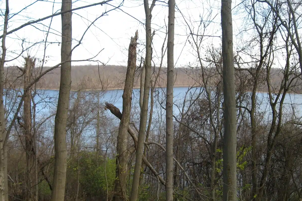 East Fork State Park