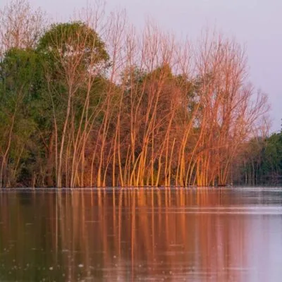 East Harbor State Park