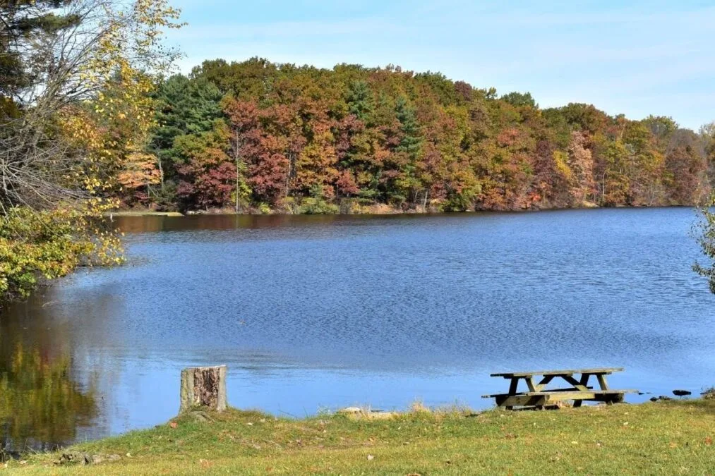 Findley State Park 20 Picnic table by the lake at Findley State Park