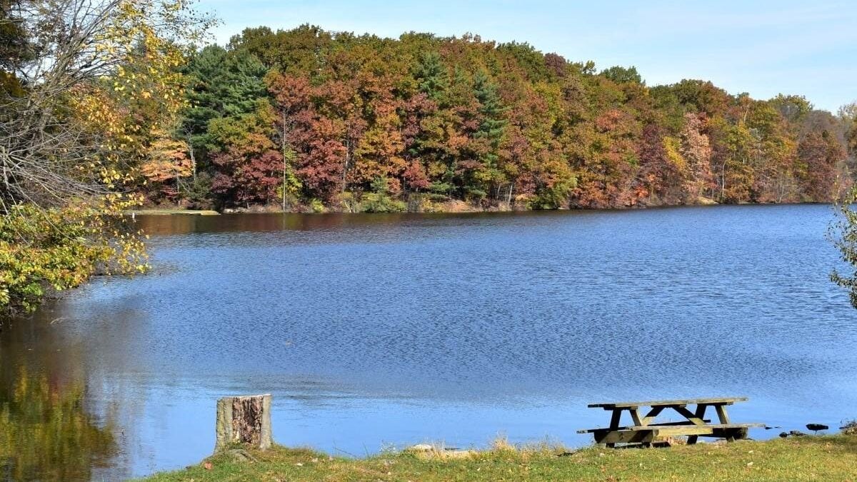 Picnic table by the lake at Findley State Park