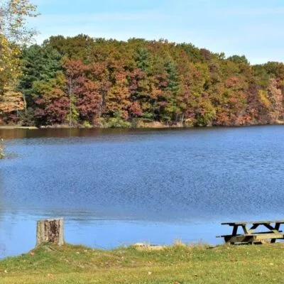 Findley State Park