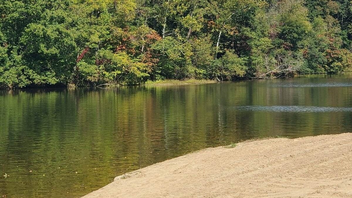 The beach at Forked Run State Park