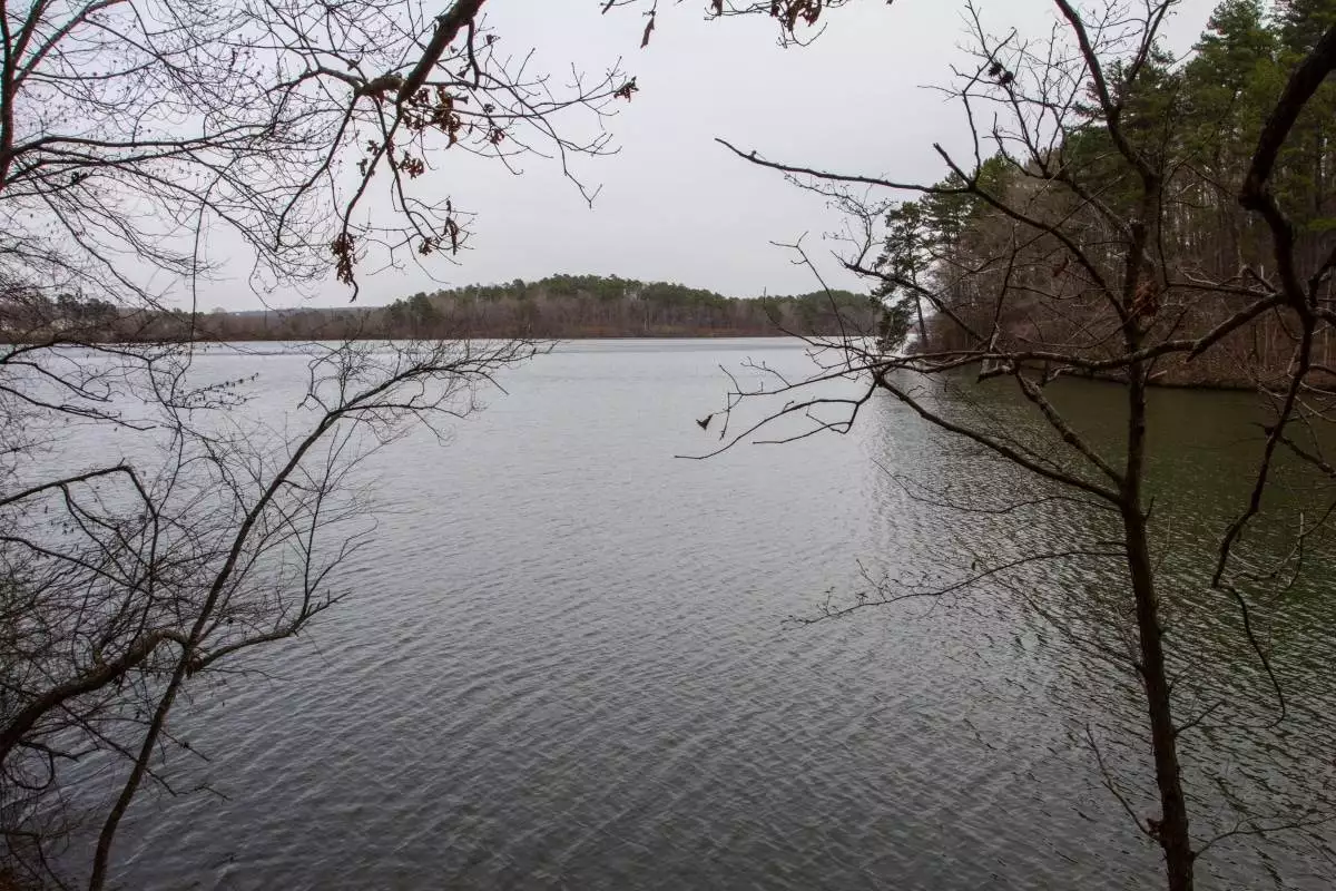 view of the water through the trees at Lake Catherine State Park