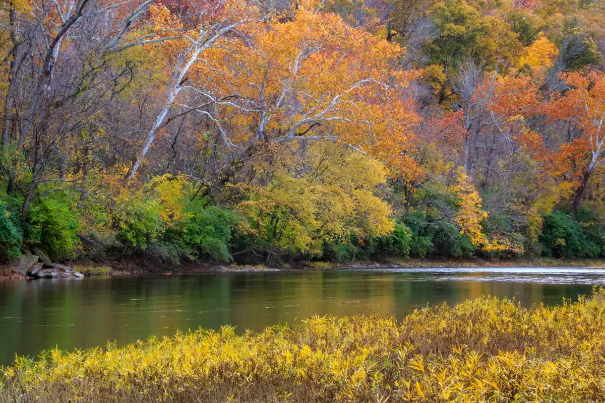 Little Miami State Park