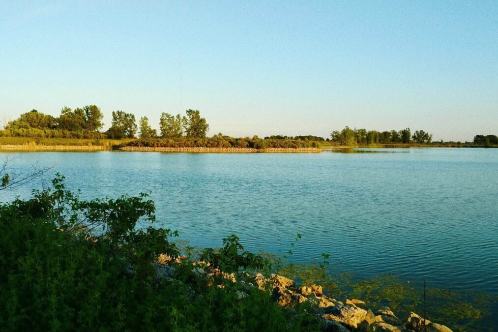 picture of the bay from the edge of the water at Maumee Bay State Park