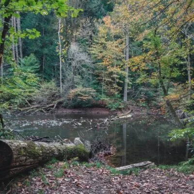 Mohican State Park