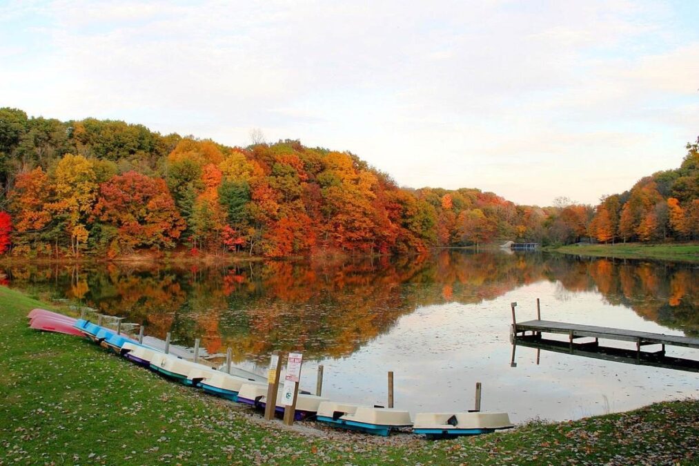 Mt Gilead State Park 1 boat launch at Mt Gilead State Park in autumn