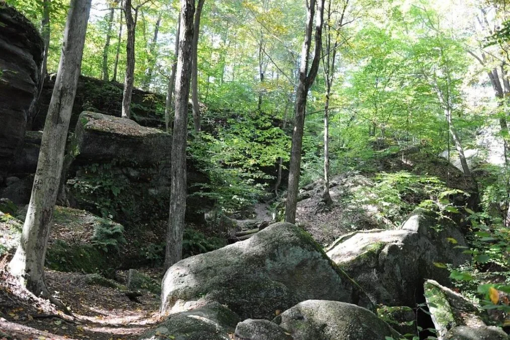 Nelson-Kennedy Ledges State Park 56 Hiking trail at Nelson-Kennedy Ledges State Park