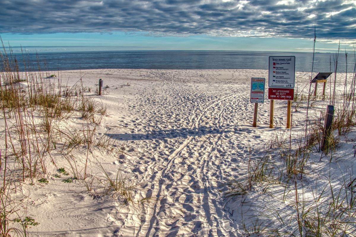 Paradise Found: Escaping to Perdido Key State Park