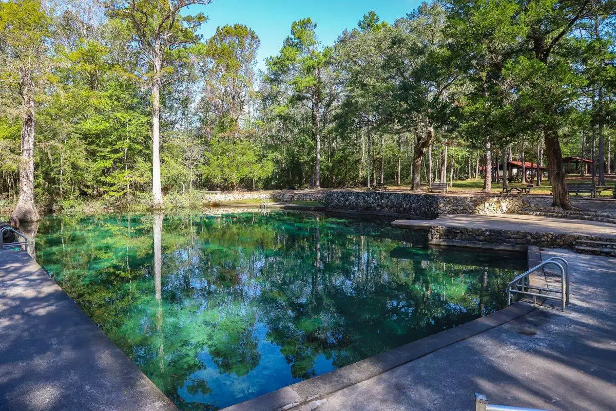 The spring at Ponce de Leon Springs State Park being shaded by trees on a sunny day