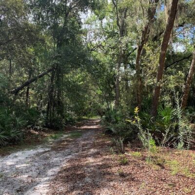 Pennekamp Coral Reef State Park