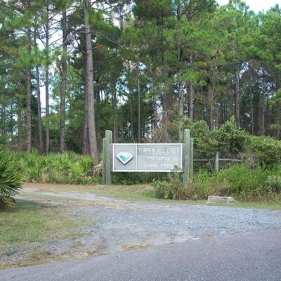 Pumpkin Hill Creek Preserve State Park