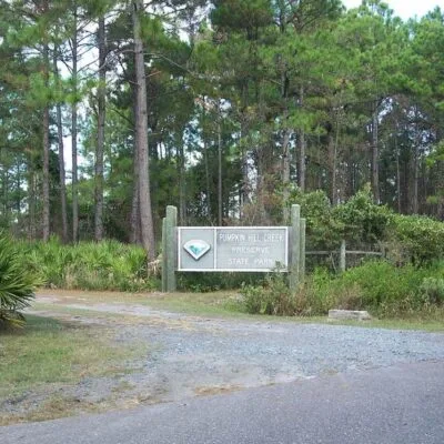 Pumpkin Hill Creek Preserve State Park