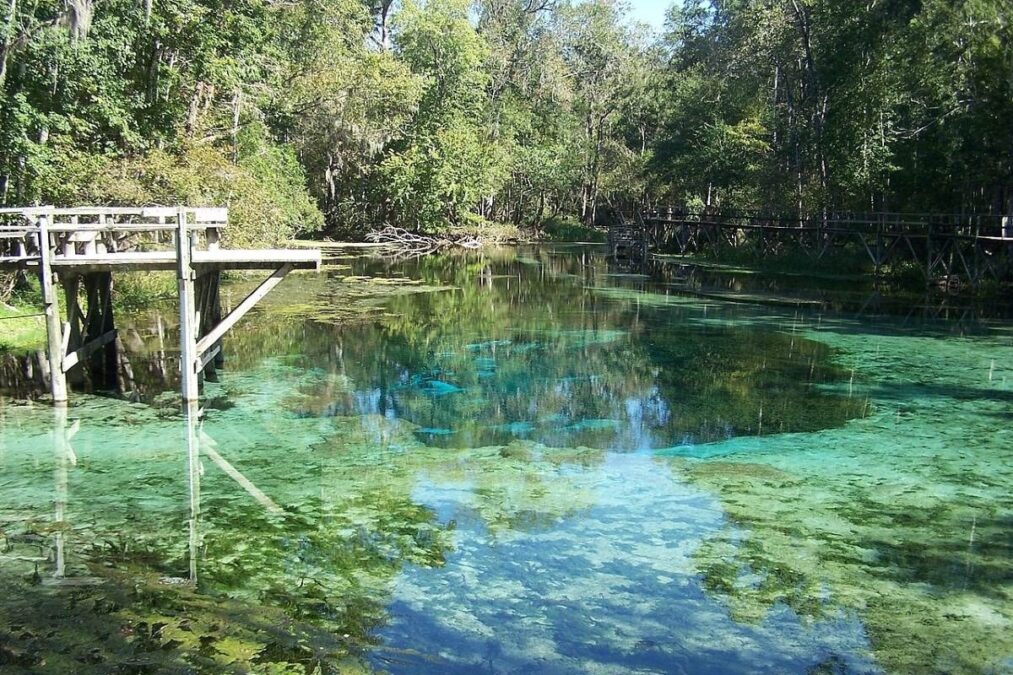Dock in the water at Ruth B. Kirby Gilchrist Blue Springs State Park