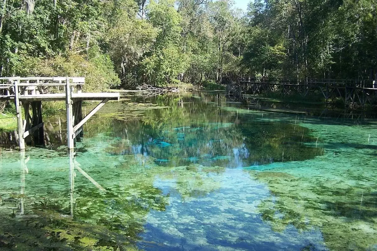 Dock in the water at Ruth B. Kirby Gilchrist Blue Springs State Park