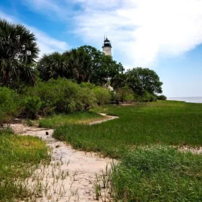 St. Marks River Preserve State Park