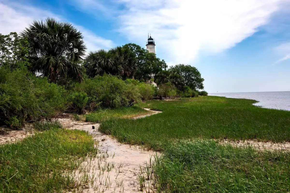 hiking trail at St. Marks River Preserve State Park