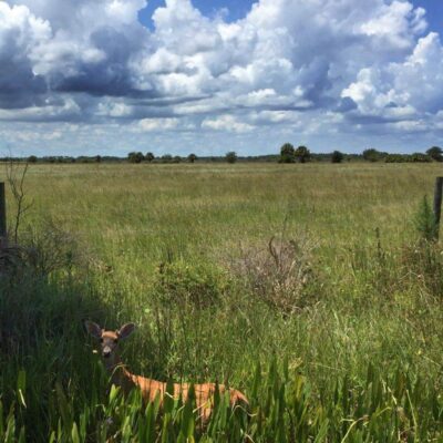 St. Sebastian River Preserve State Park