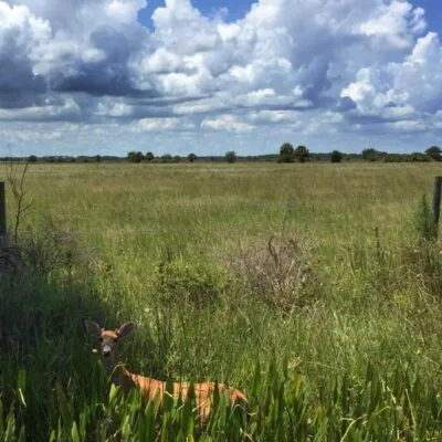 St. Sebastian River Preserve State Park