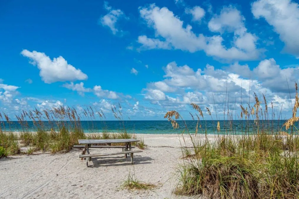 Picnic table by the ocean at Stump Pass Beach State Park