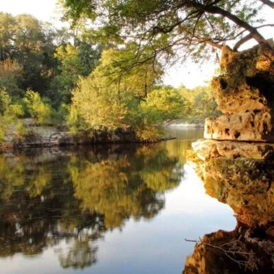 Suwannee River State Park
