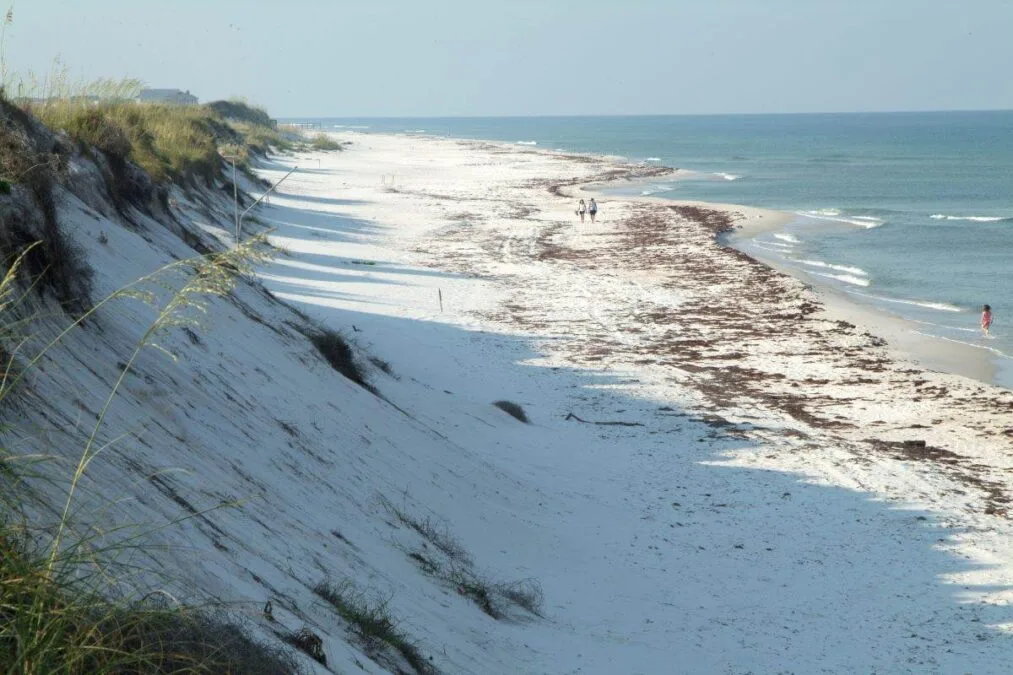 view of the beach from above at T.H. Stone Memorial St. Joseph Peninsula State Park