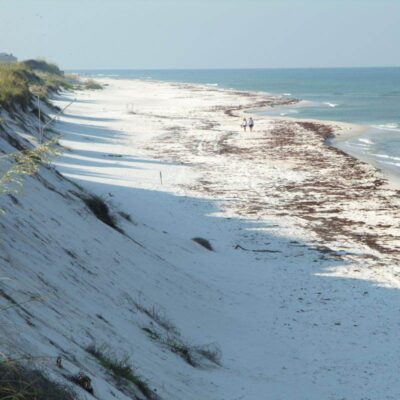 T.H. Stone Memorial St. Joseph Peninsula State Park