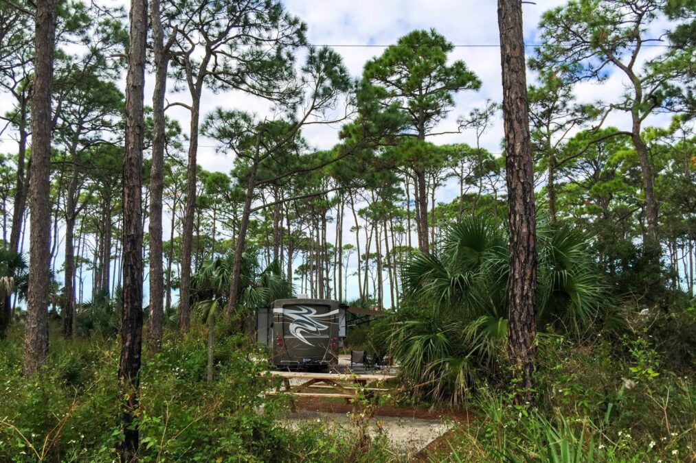 RV campsite at T.H. Stone Memorial St. Joseph Peninsula State Park