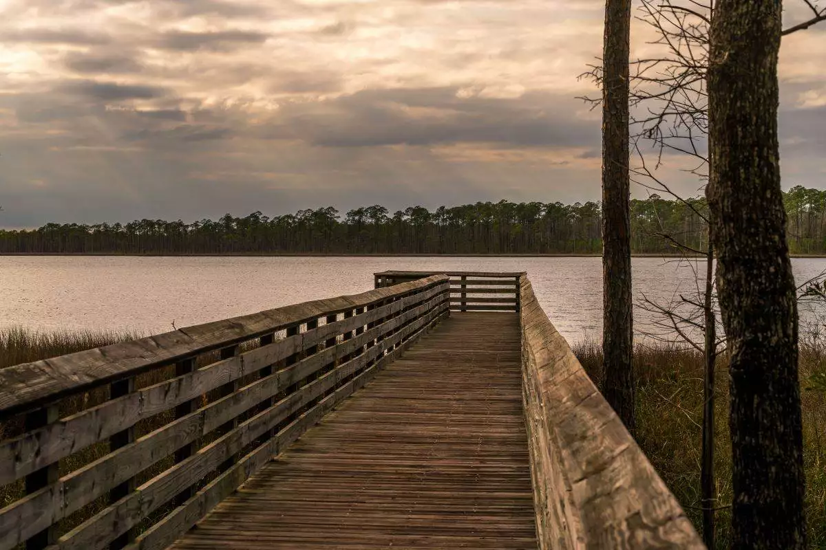 viewing dock over the water at Tarkiln Bayou Preserve State Park
