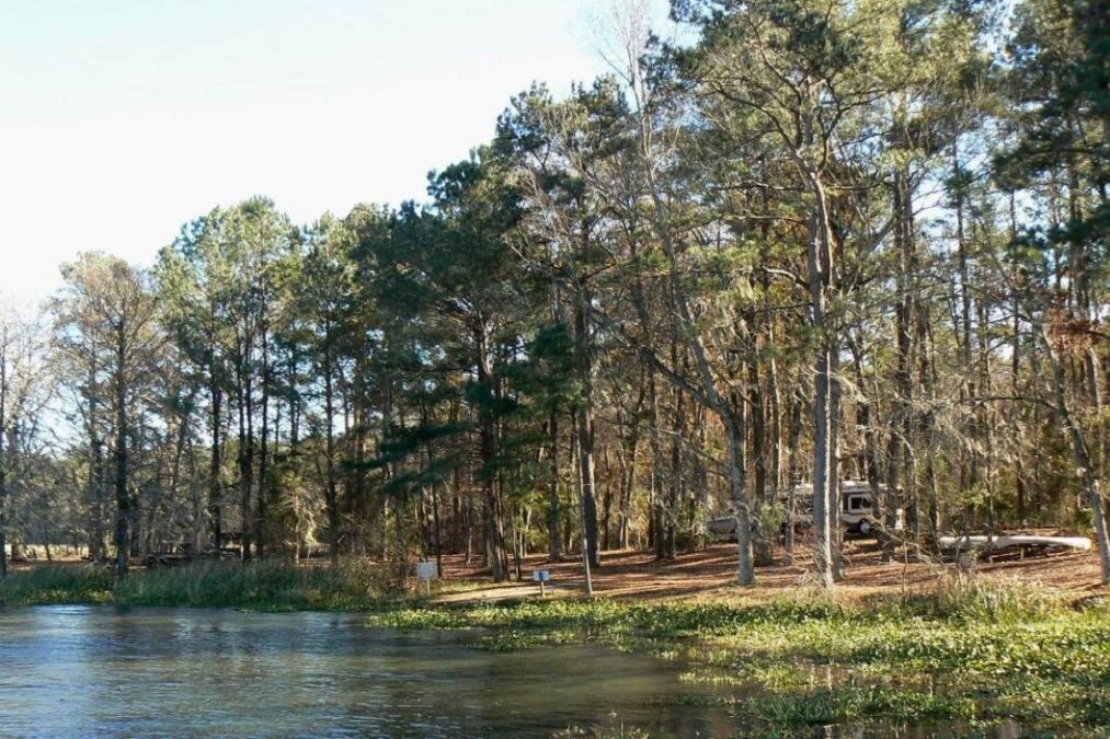 Camp site along the shore of Lake Seminole at Three Rivers State Park