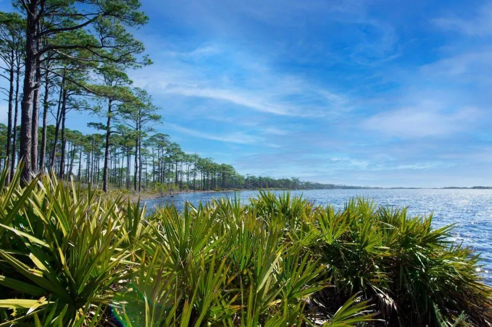 View of the bay at Topsail Hill Preserve State Park on a cloudy day