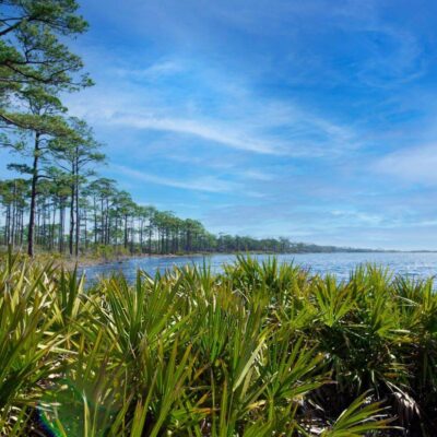 Topsail Hill Preserve State Park