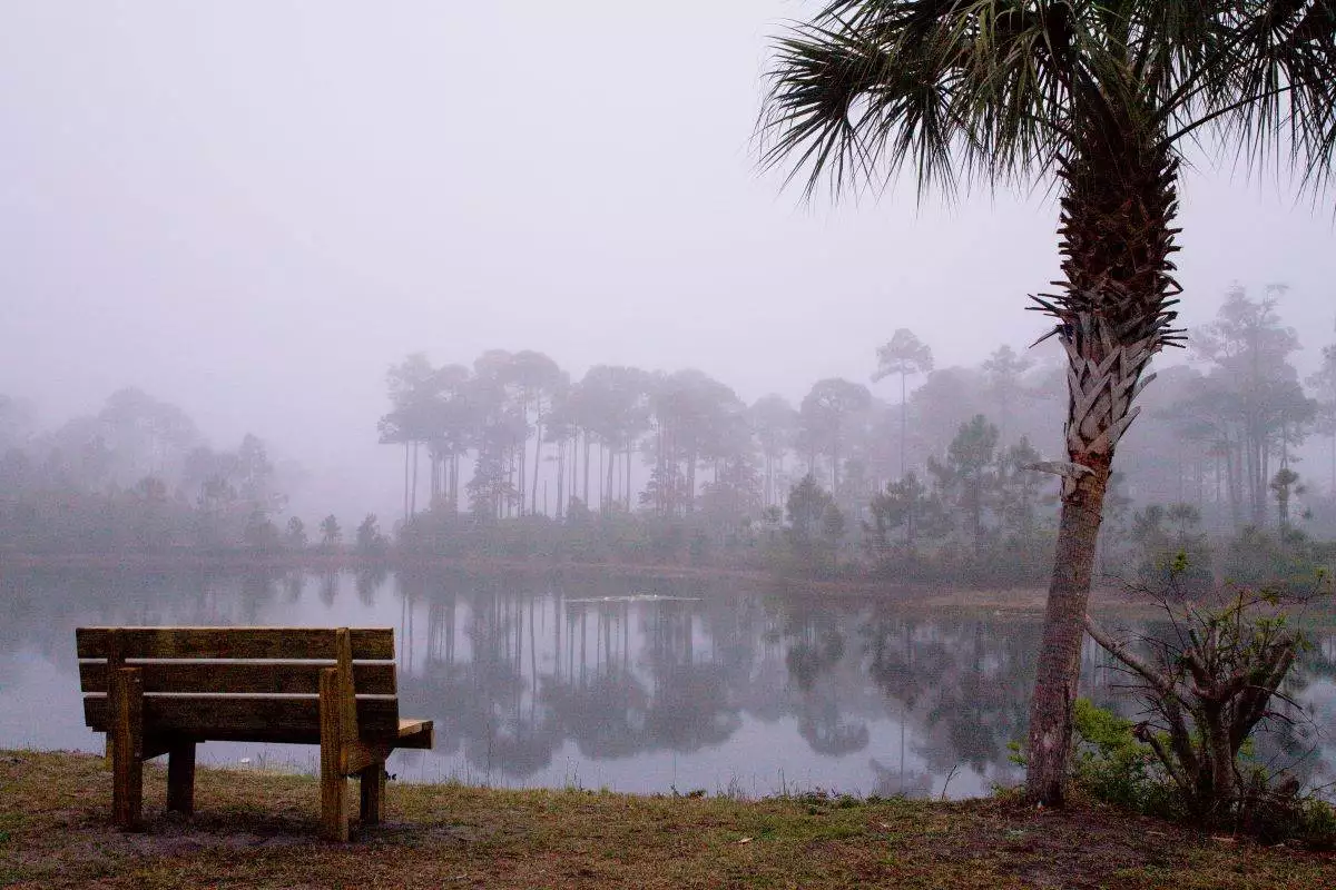 bench overlooking the water on a foggy day at Topsail Hill Preserve State Park