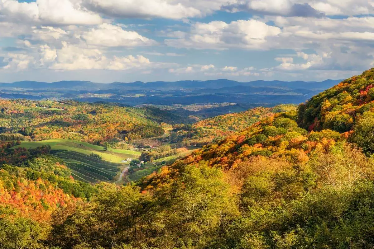 Virginia State Parks 4 fall foliage at grayson highlands state park in virginia