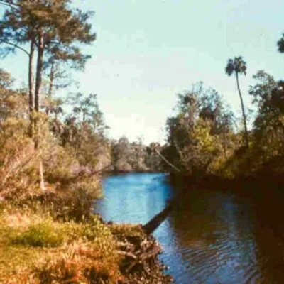 Waccasassa Bay Preserve State Park
