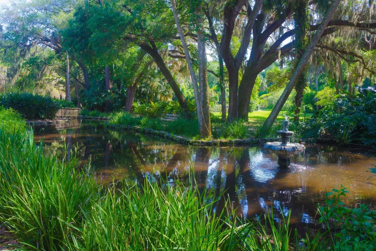 water fountain in a pond at Washington Oaks Gardens State Park