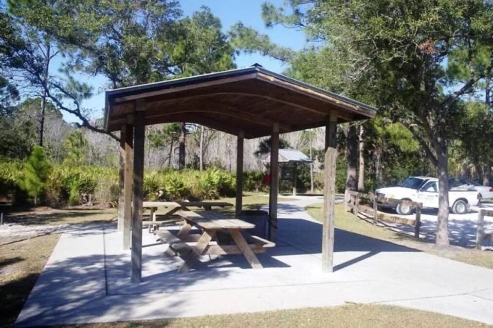 Picnic pavillion at Werner-Boyce Salt Springs State Park