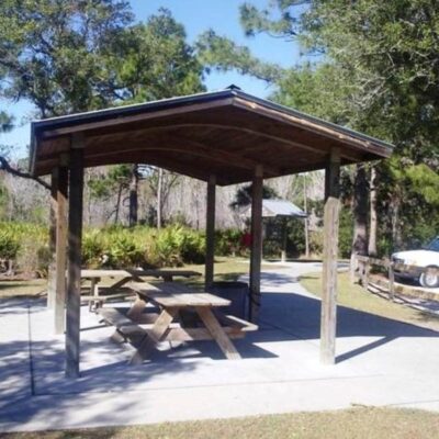 Werner-Boyce Salt Springs State Park