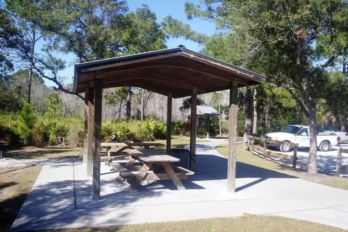 Werner-Boyce Salt Springs State Park