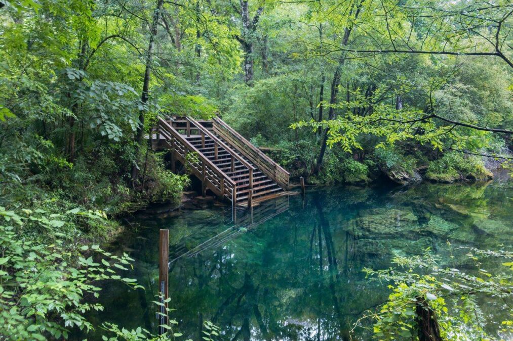 stairs leading to the springs at Wes Skiles Peacock Springs State Park