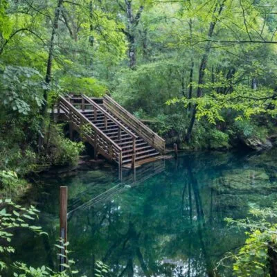 Wes Skiles Peacock Springs State Park