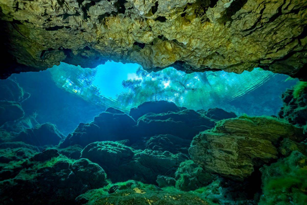 underwater cave at Wes Skiles Peacock Springs State Park
