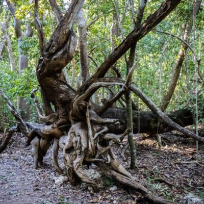Gemini Springs Park