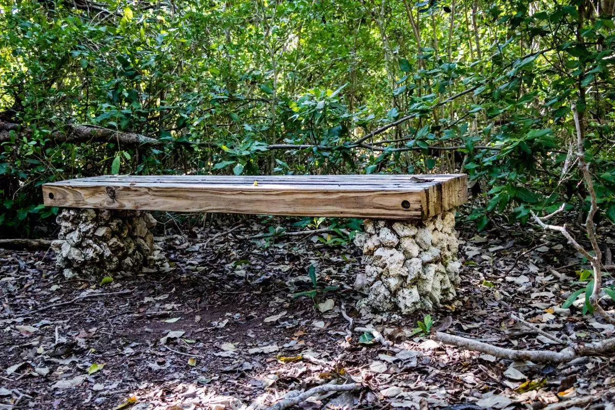 bench on a hiking trail at Windley Key Fossil Reef Geological State Park