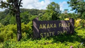 Akaka Falls State Park