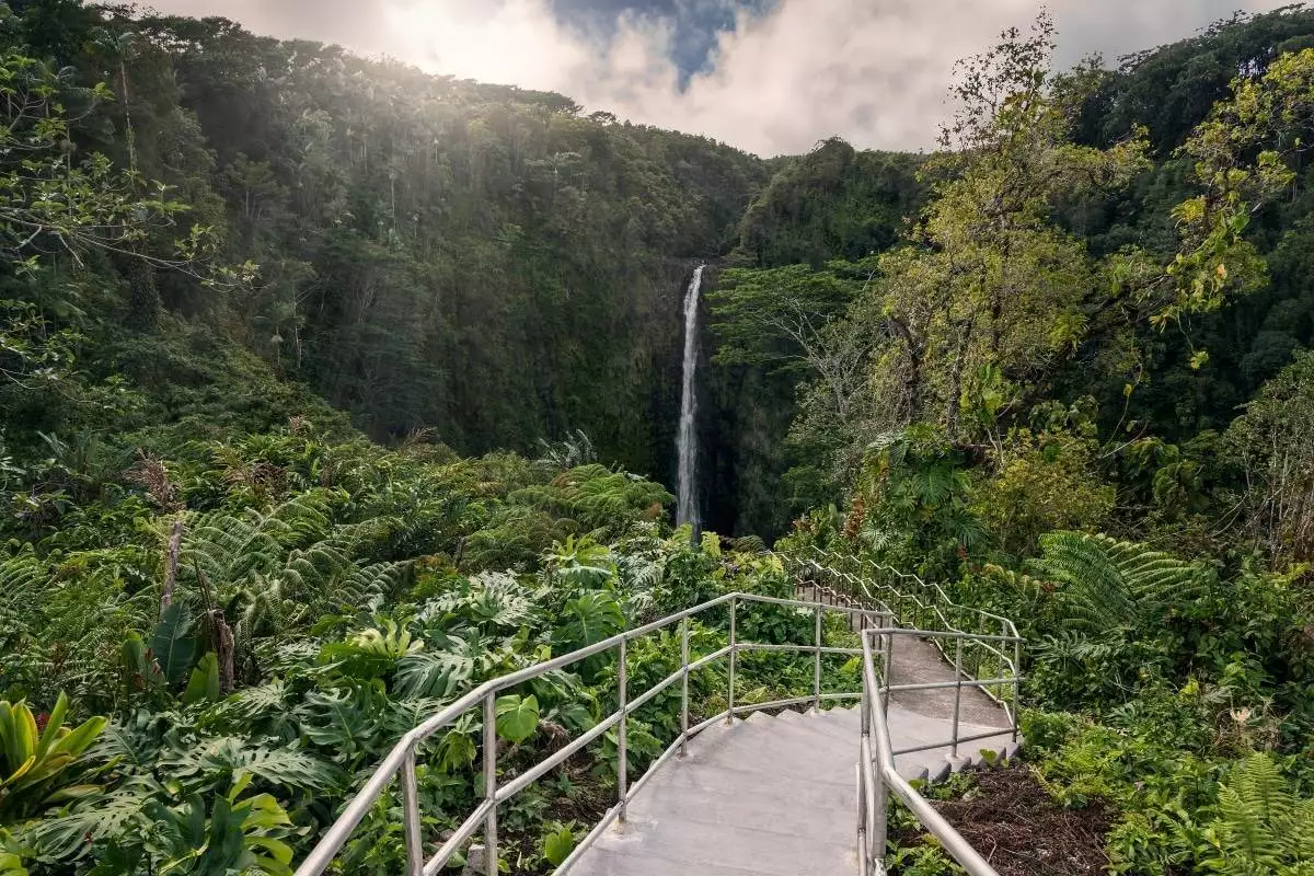Stairs to the big waterfall at Akaka Falls State Park