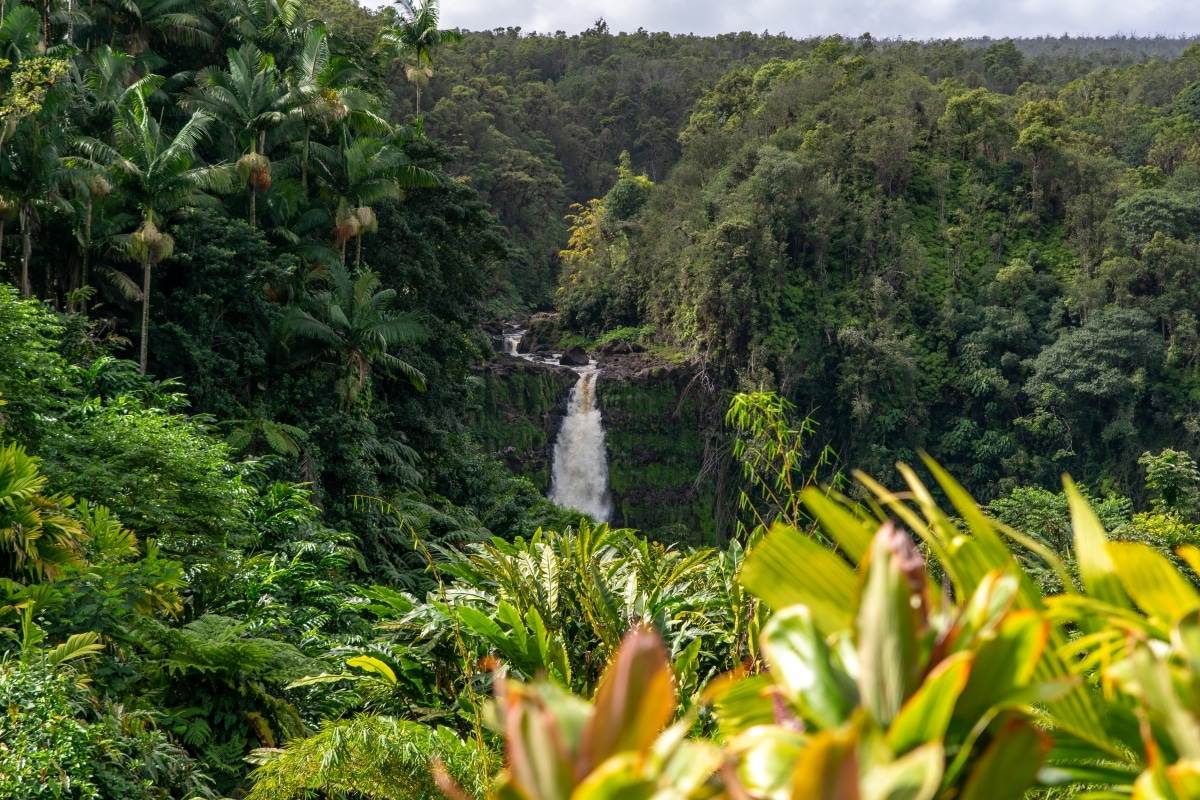 Akaka Falls State Park In Honomu, HI America