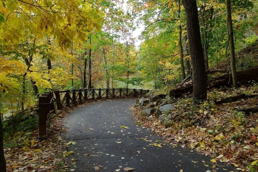 Trail through Alapocas Woods.