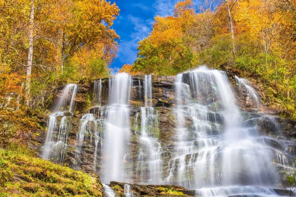 fall foliage on the trees at Amicalola Falls State Park in autumn