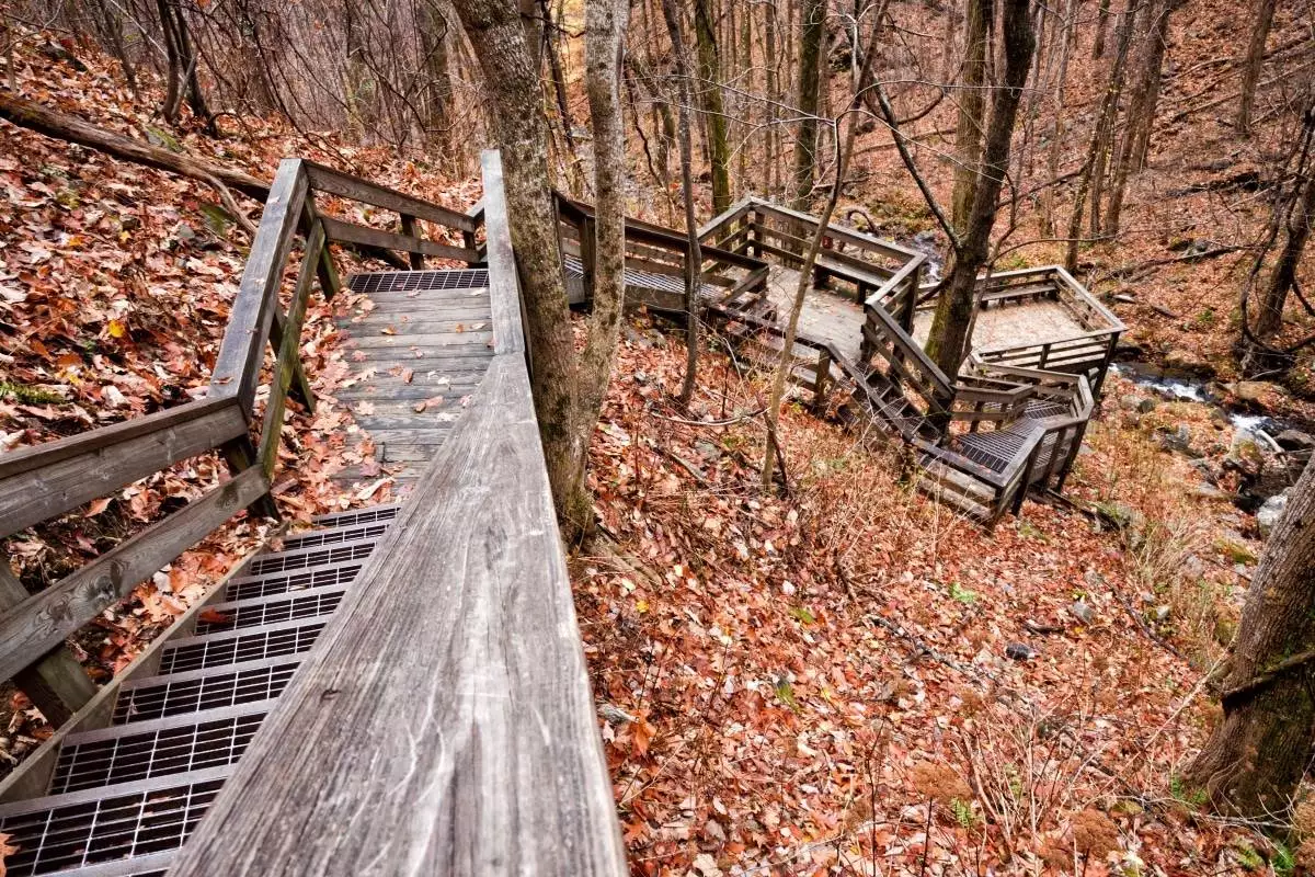 wooden stairs that climb to the top of Amicalola Falls State Park